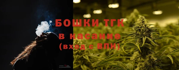 гидра Верхний Тагил