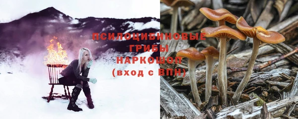 ГАЛЛЮЦИНОГЕННЫЕ ГРИБЫ Бугульма