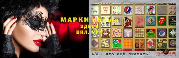 ГАЛЛЮЦИНОГЕННЫЕ ГРИБЫ Бугульма