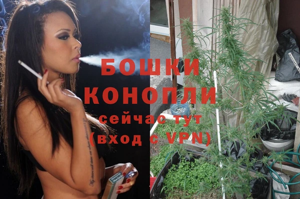 ГАЛЛЮЦИНОГЕННЫЕ ГРИБЫ Бугульма